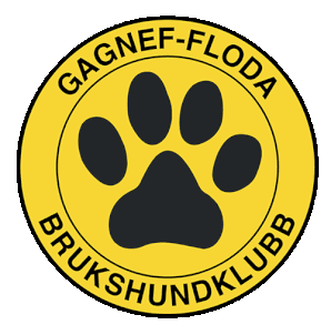 www.g-fbk.se